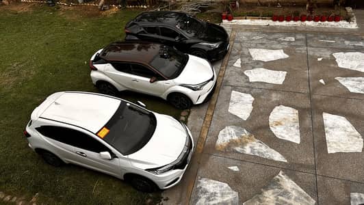 Toyota CHR Bruno 2019