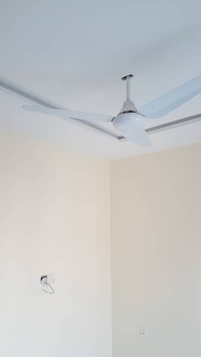 8 Marla Commercial Ground Plus Mezanine For Rent