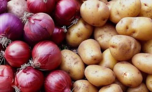 Potato  and Onion  Whole Sale Dealer