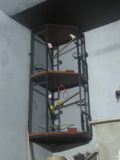 Cage for birds parrots