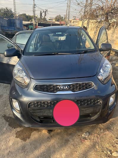 Kia picanto