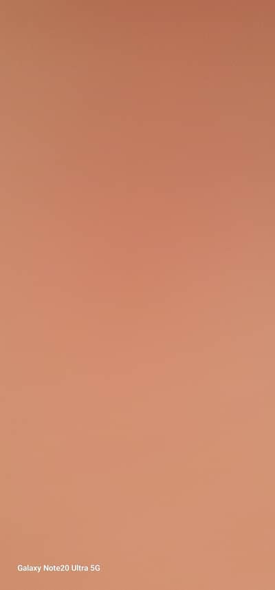 Pizza and fast food products