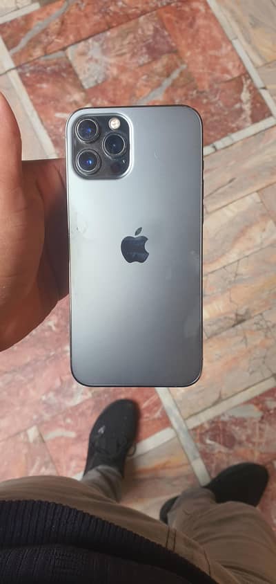 iphone 12 pro max pta approved