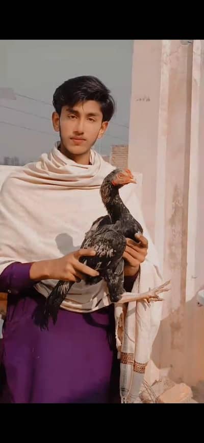 dono bhi ha rate ma kami ho jaya ge chska wala dor raha jis bhi na lan