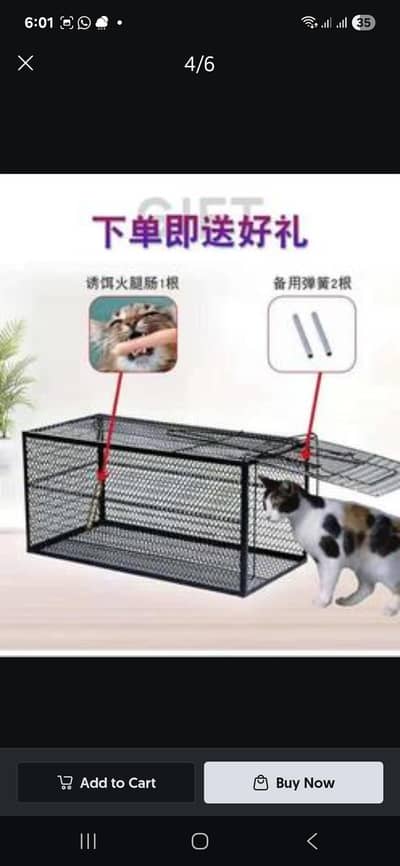cat cage