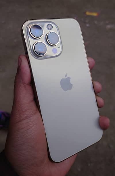 iPhone 13 Pro  Factory Unlocked