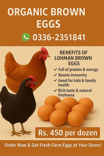 organic Fresh brown eggs 