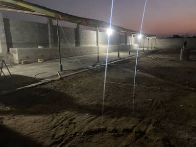 Cattle Farm Dairy Farm Goat Farm for Rent