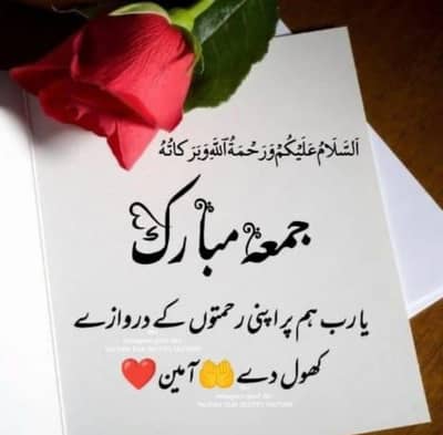 clerical or services representative etc