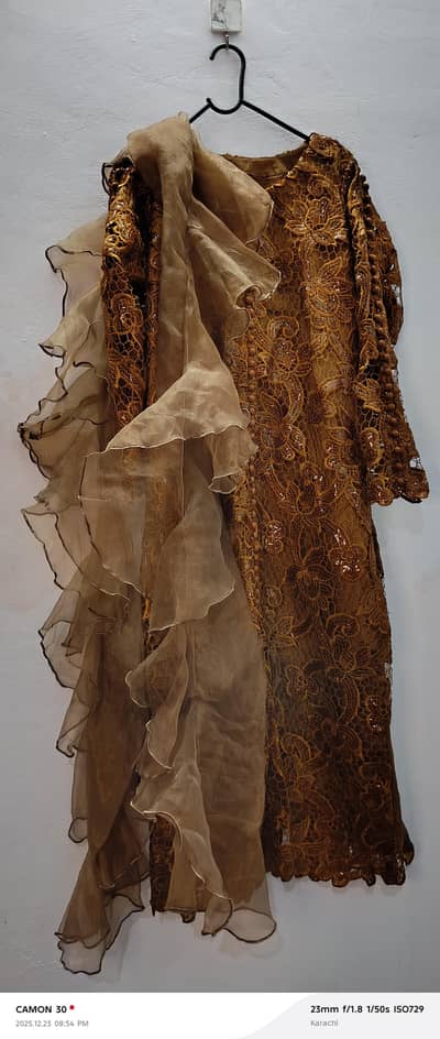 Imported net shirt with kartan silk dress