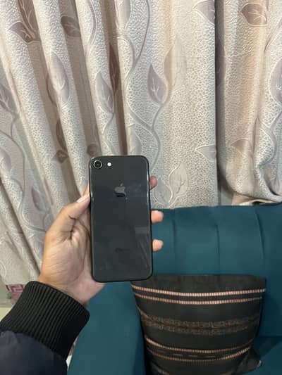 IPhone 8 pta approved