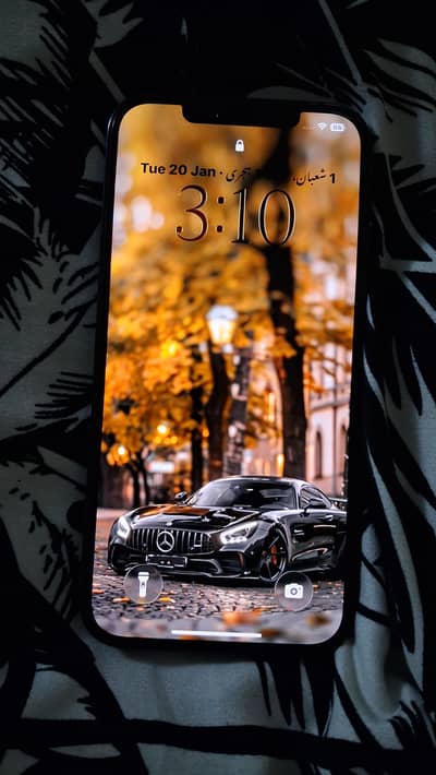 iPhone 12 Pro Max official PTA approved