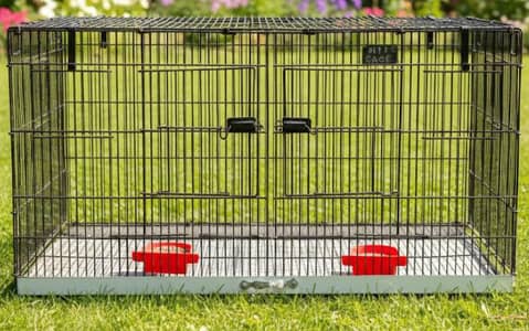 Cage For Birds