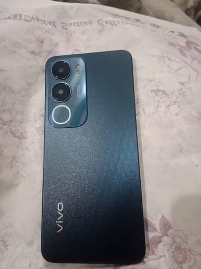 vivo y 19s 10 by 10 full box