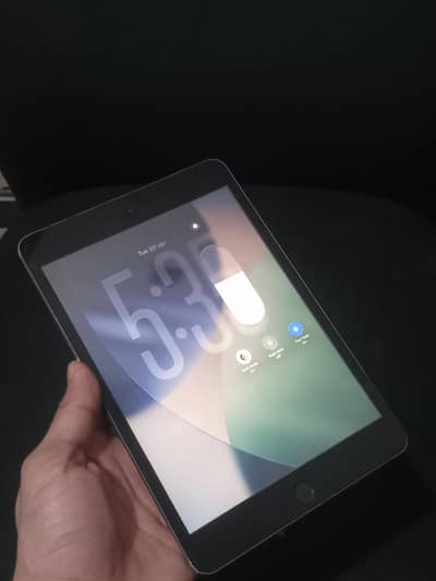 iPad mini 5 256GB - 9/10