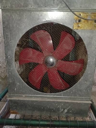 urgent sale / exchang with amy thing( 03196263273)