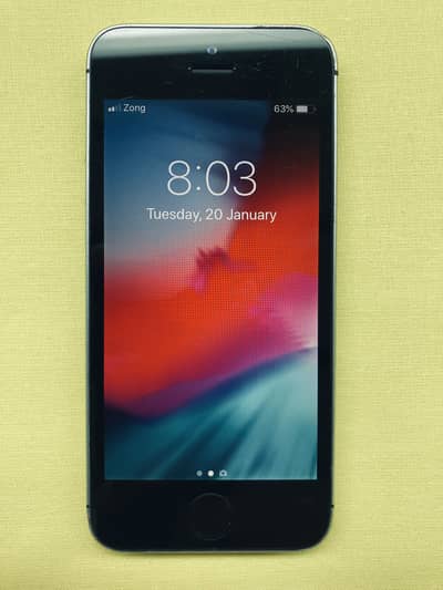 iPhone 5s PTA approved