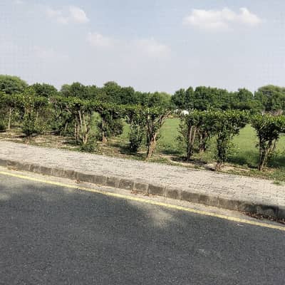 Corner Plot For Sale