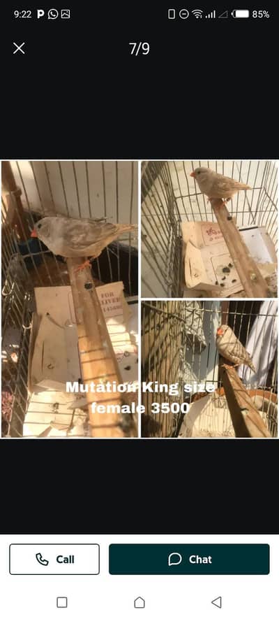 FINCH KING SIZE SALE
