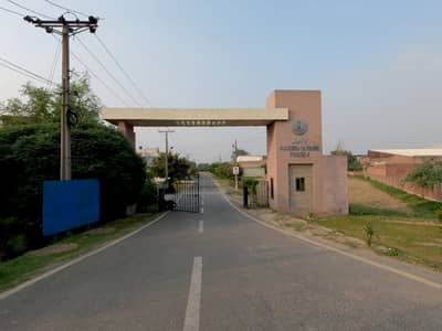 Reasonable plot For Sale