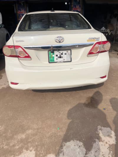 chat Piller diggi bonat genuine