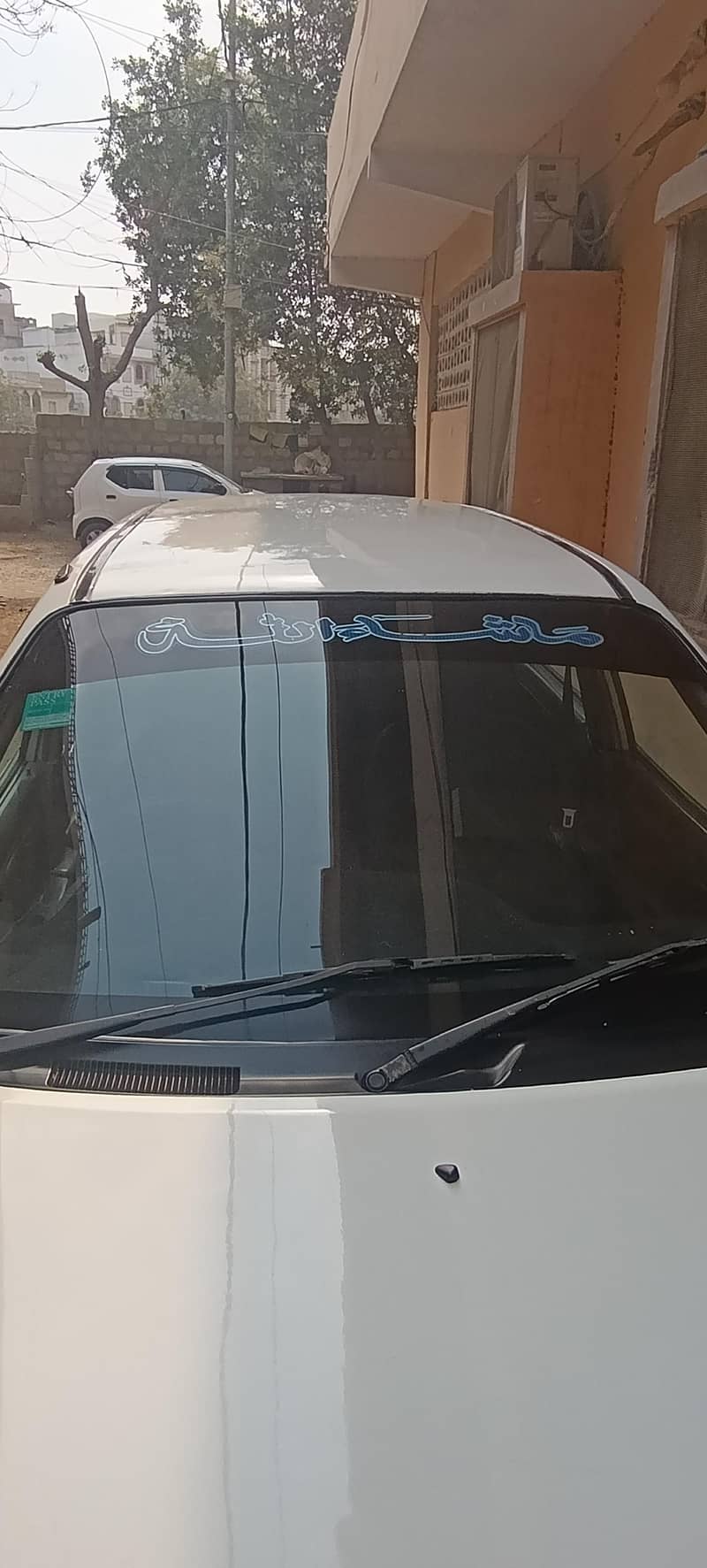 Alto VXR Automatic 2