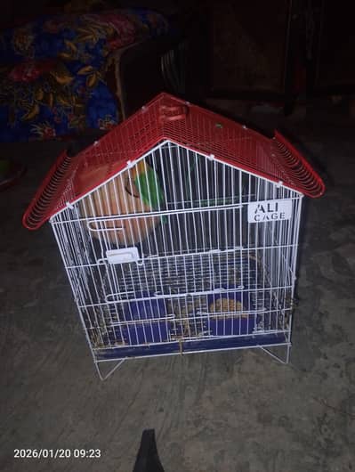 birds cage