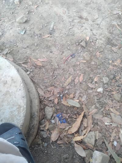 Motorola mobile for sale