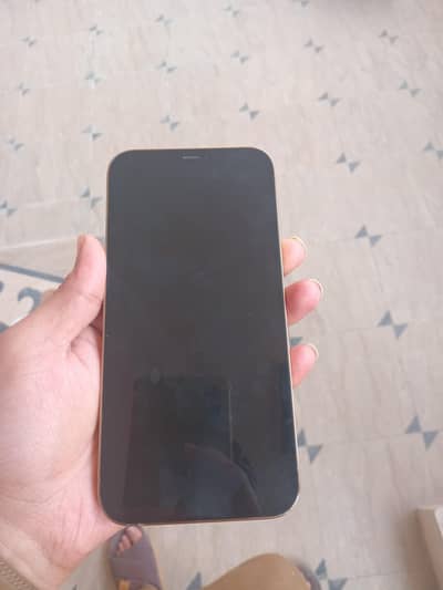 Iphone 12 Pro Max Non PTA
