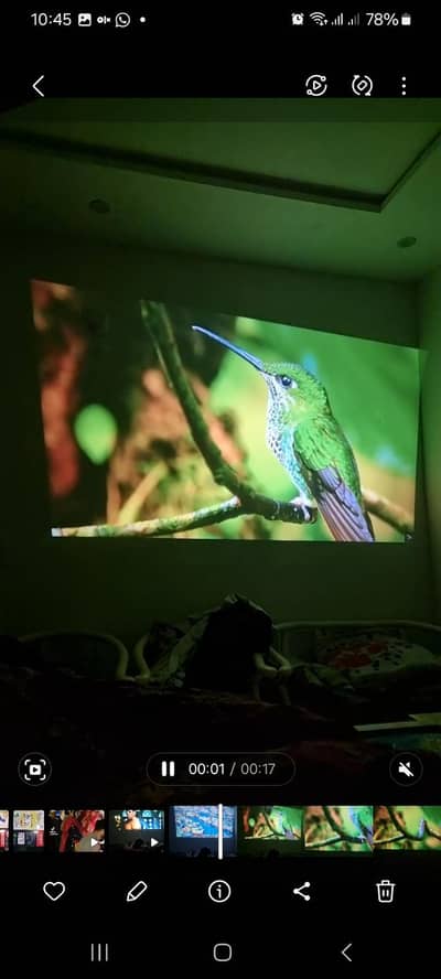 ZDK 4k projector