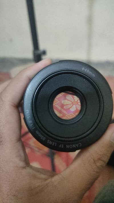 Canon EF 50mm 1.8 STM