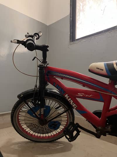 Bicycle for a 10-11 year old