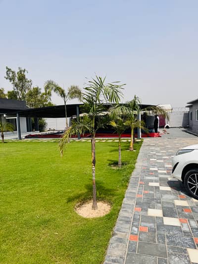 4 Kanal Farm House For Sale
