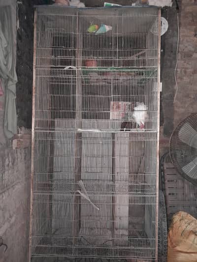 Birds Cage