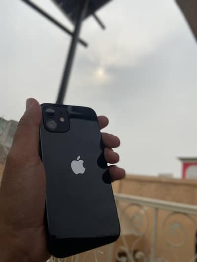 iPhone 12 for sale