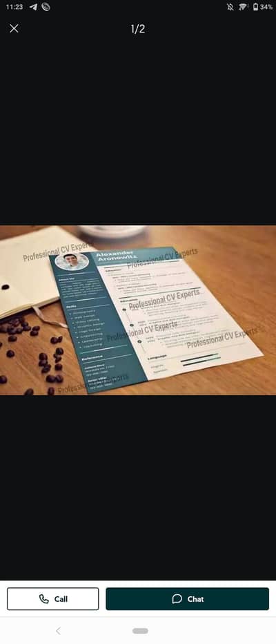 professional Cv expert