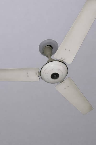 Ceiling fan