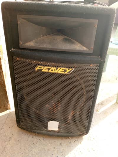Original Peavey Professional Speaker - 15 Inch - Best Condition
