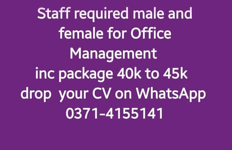 male and female staff for Office Management