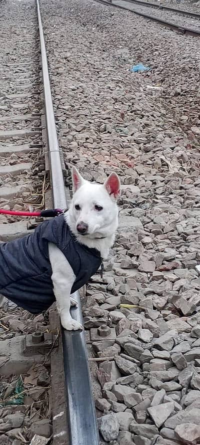 Russian female healthy and active