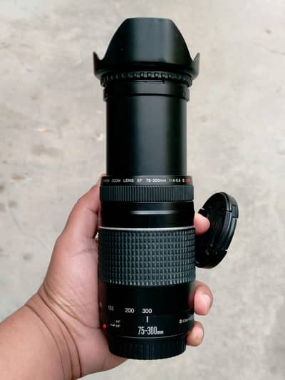 2 lens Nikon AF 50mm f1.8D,  canon 70-300mm iii USM (both almost new)