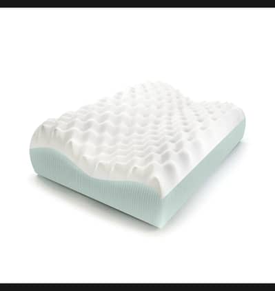 Master Molty Ortho Contour Pillow