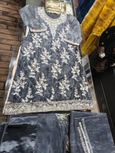 Fancy Organza stitched dress