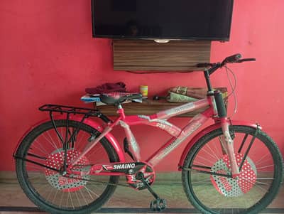 Bicycle for sale . Big red bicycle