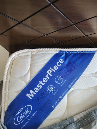 Celest Mattress (master molty foam)