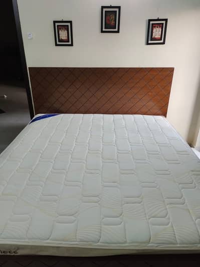 Celeste Mattress (master molty foam)