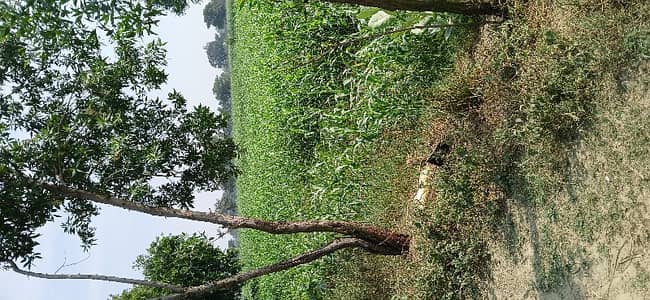 Prime location Bedian Road Agricultural land For Sale Direct Access Future DHA phase 10 purchase