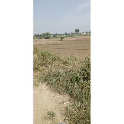 Prime Location Facing BRB Canal Carpeted Road Direct Access Best Option For Farmhouse