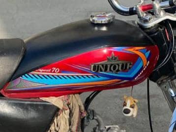 21 model unique jenion fuel tank only