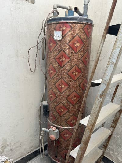 Electric and gas dual geyser